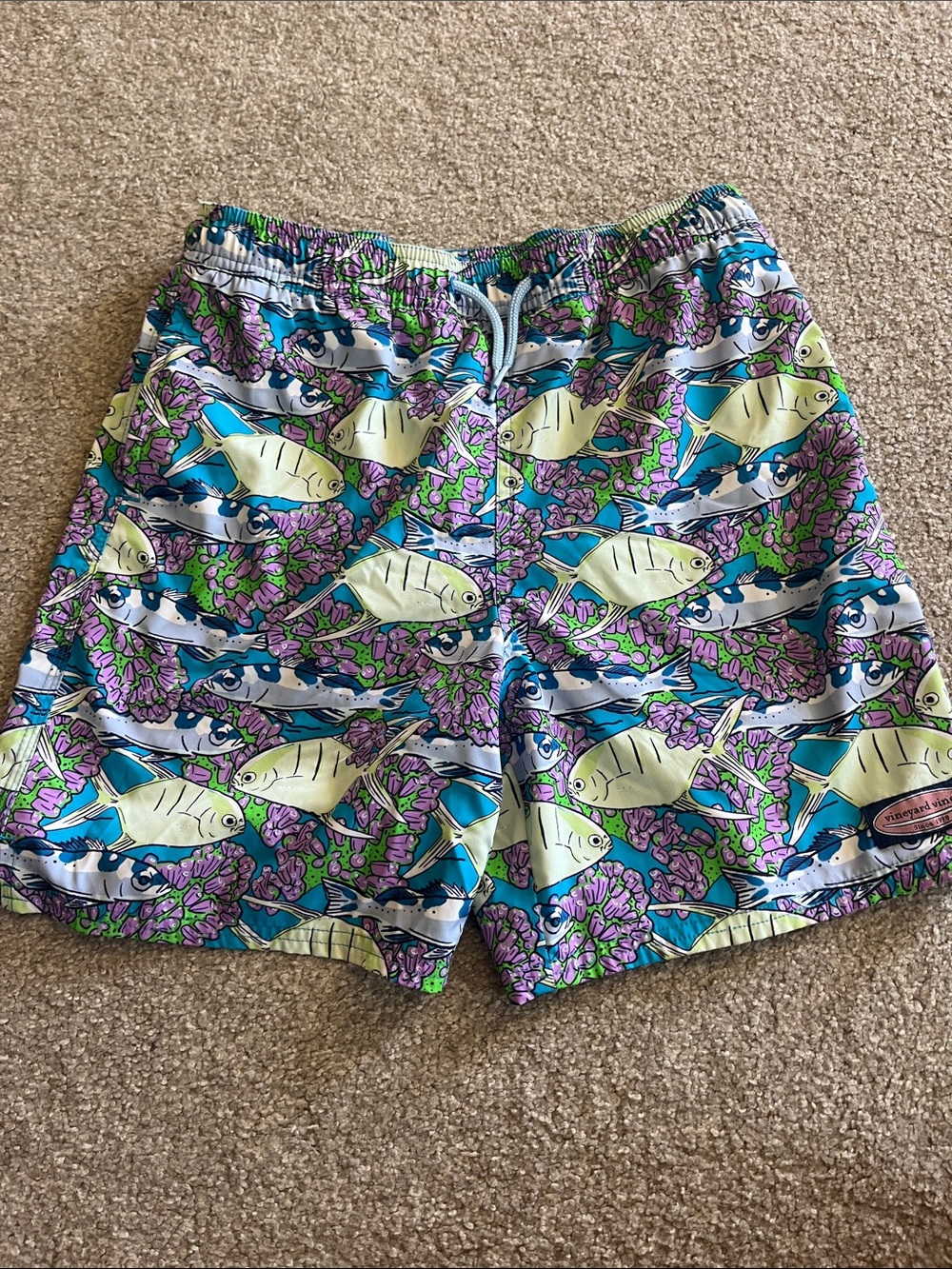 Colorful Fish Print Swim Trunks - Blue, Green, Purple Vineyard Vines Boys Large